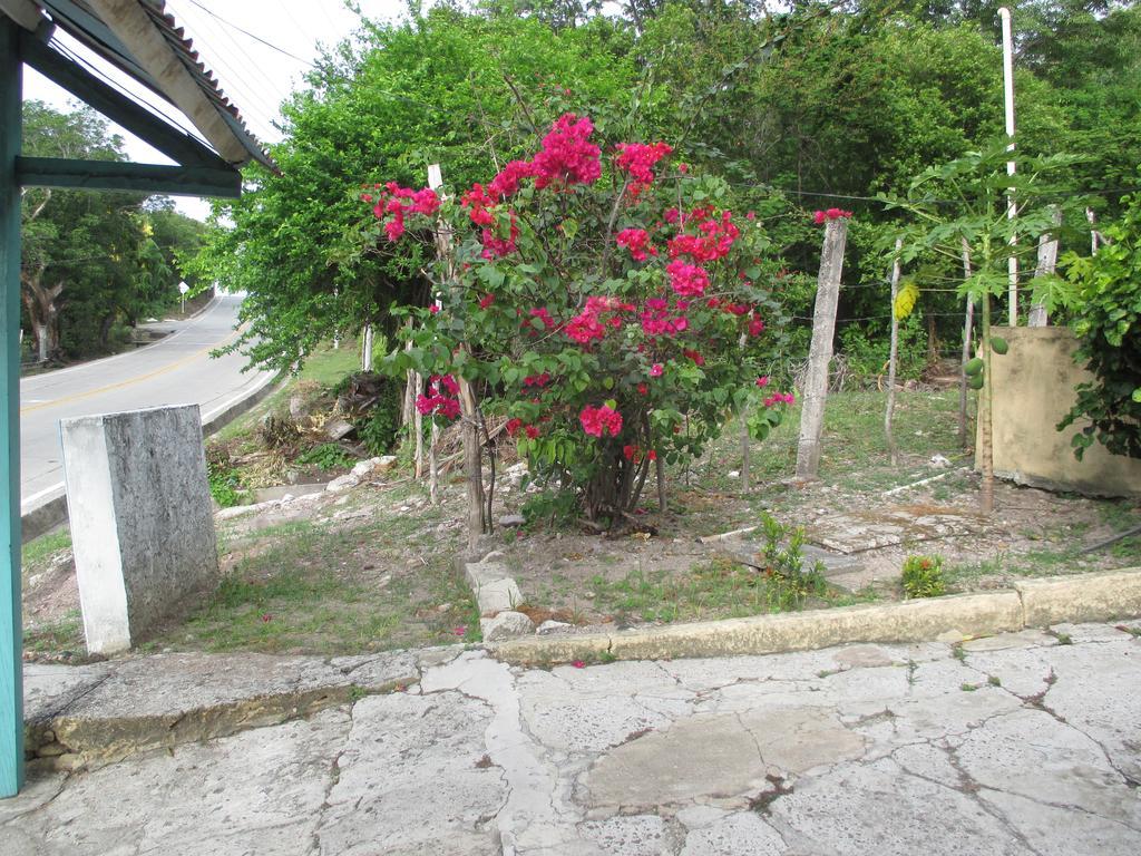 Hotel Flemming Tree Providencia Island Экстерьер фото