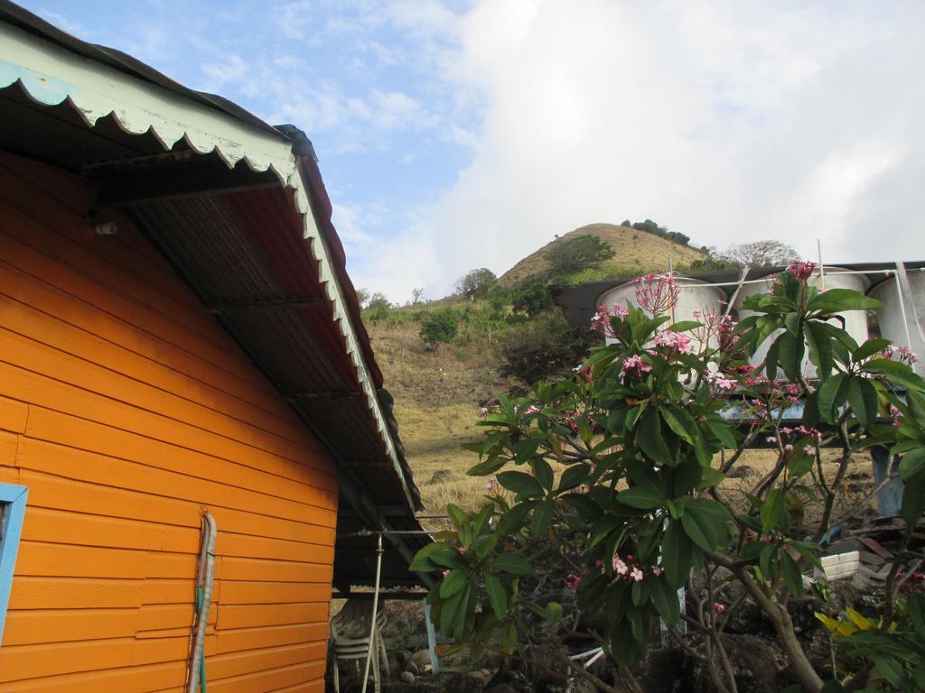 Hotel Flemming Tree Providencia Island Экстерьер фото
