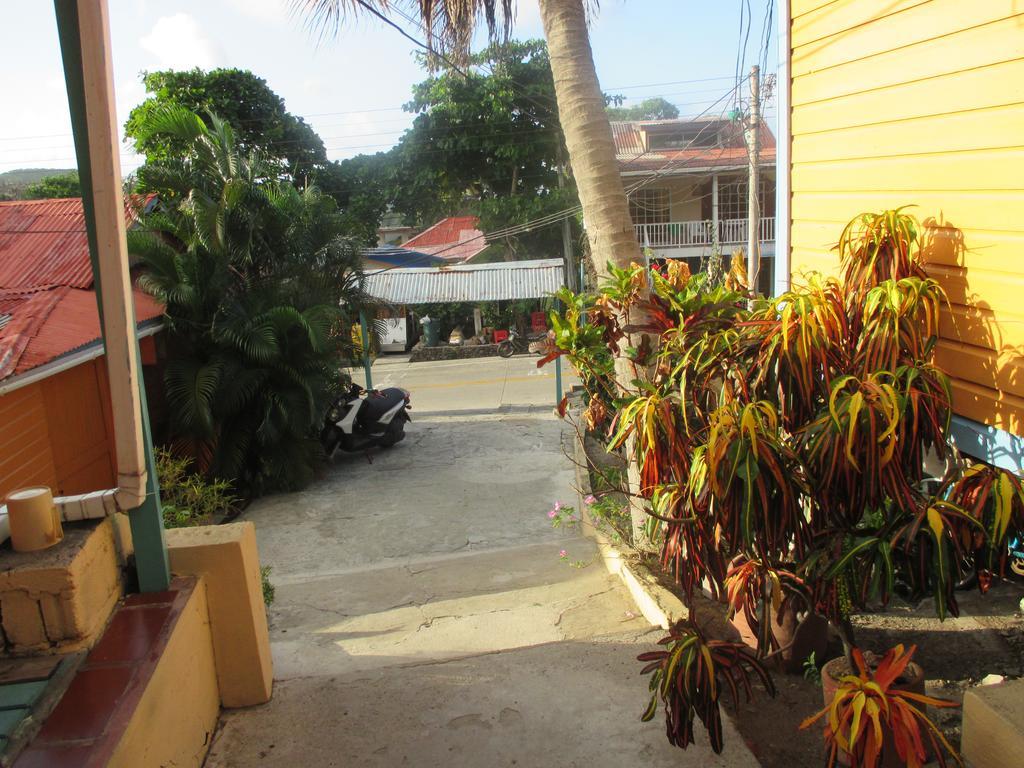 Hotel Flemming Tree Providencia Island Экстерьер фото