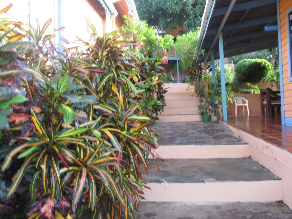 Hotel Flemming Tree Providencia Island Экстерьер фото