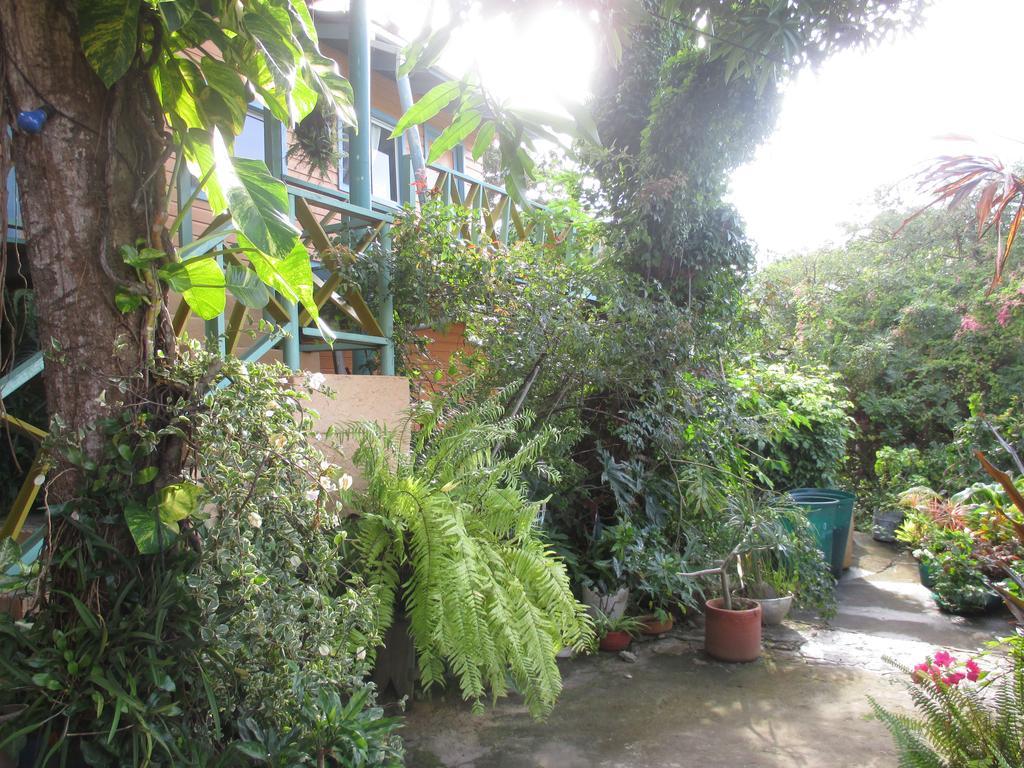 Hotel Flemming Tree Providencia Island Экстерьер фото